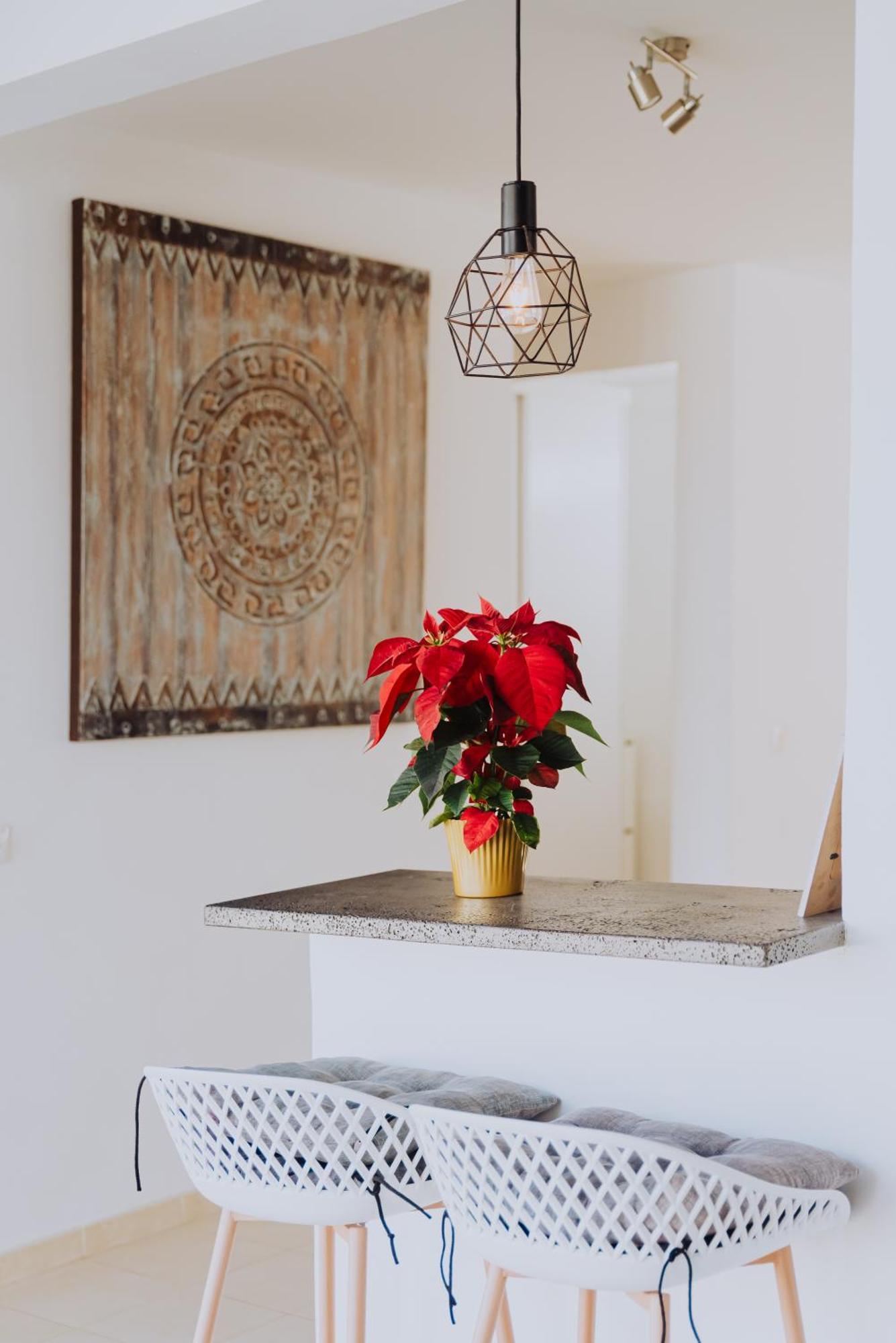 Villa Lanzarote Deluxe & Spa Pool Плая Бланка Екстериор снимка